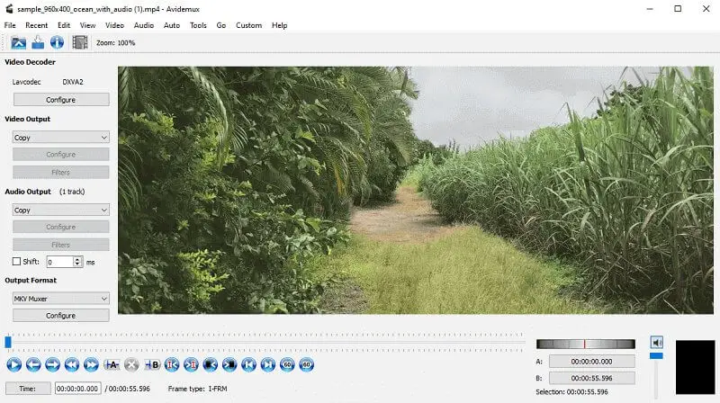 Avidemux video decoder Avidemux video decoder