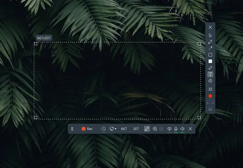 Icecream Screen Recorder - инструменты аннотации Icecream Screen Recorder - инструменты аннотации