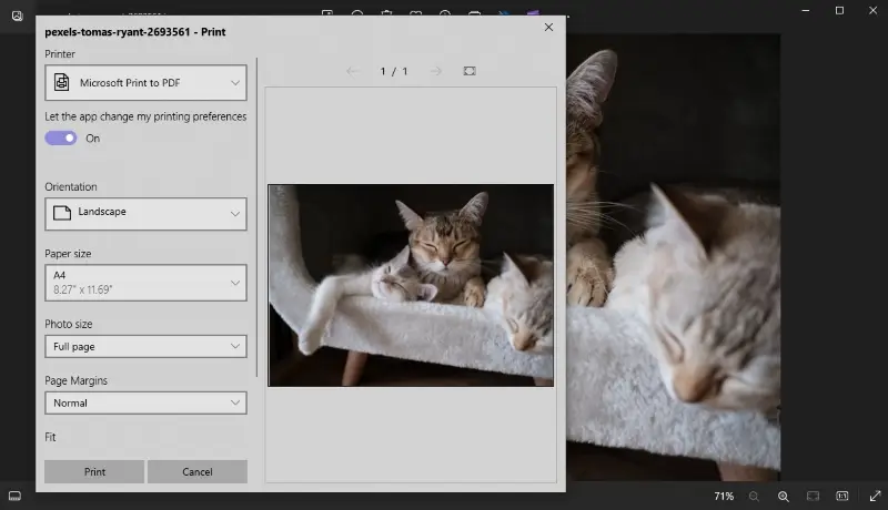 Changing JPG to PDF in Print to PDF Changing JPG to PDF in Print to PDF