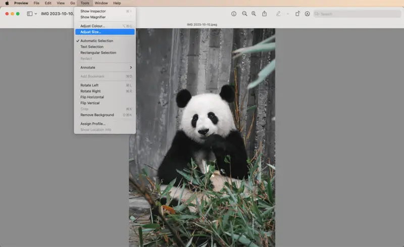 Photo resolution changer for Mac - Preview